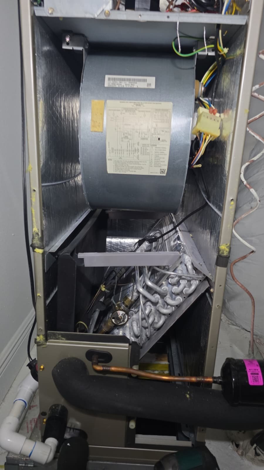 AC tune-up service in Wesley Chapel, FL 33545