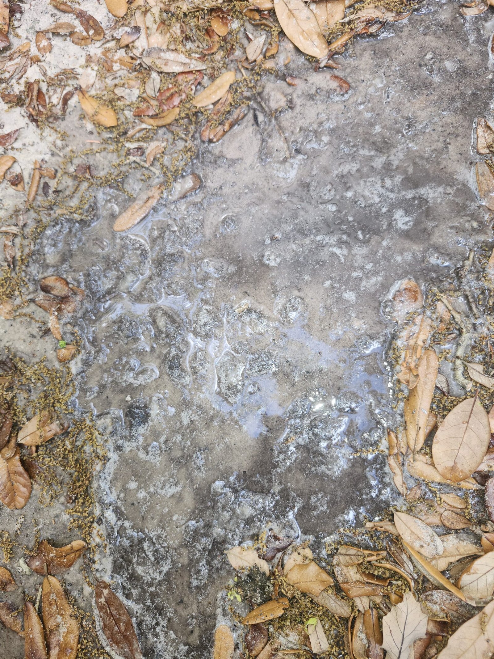 HVAC maintenance surge protection Palm Harbor, FL 34683