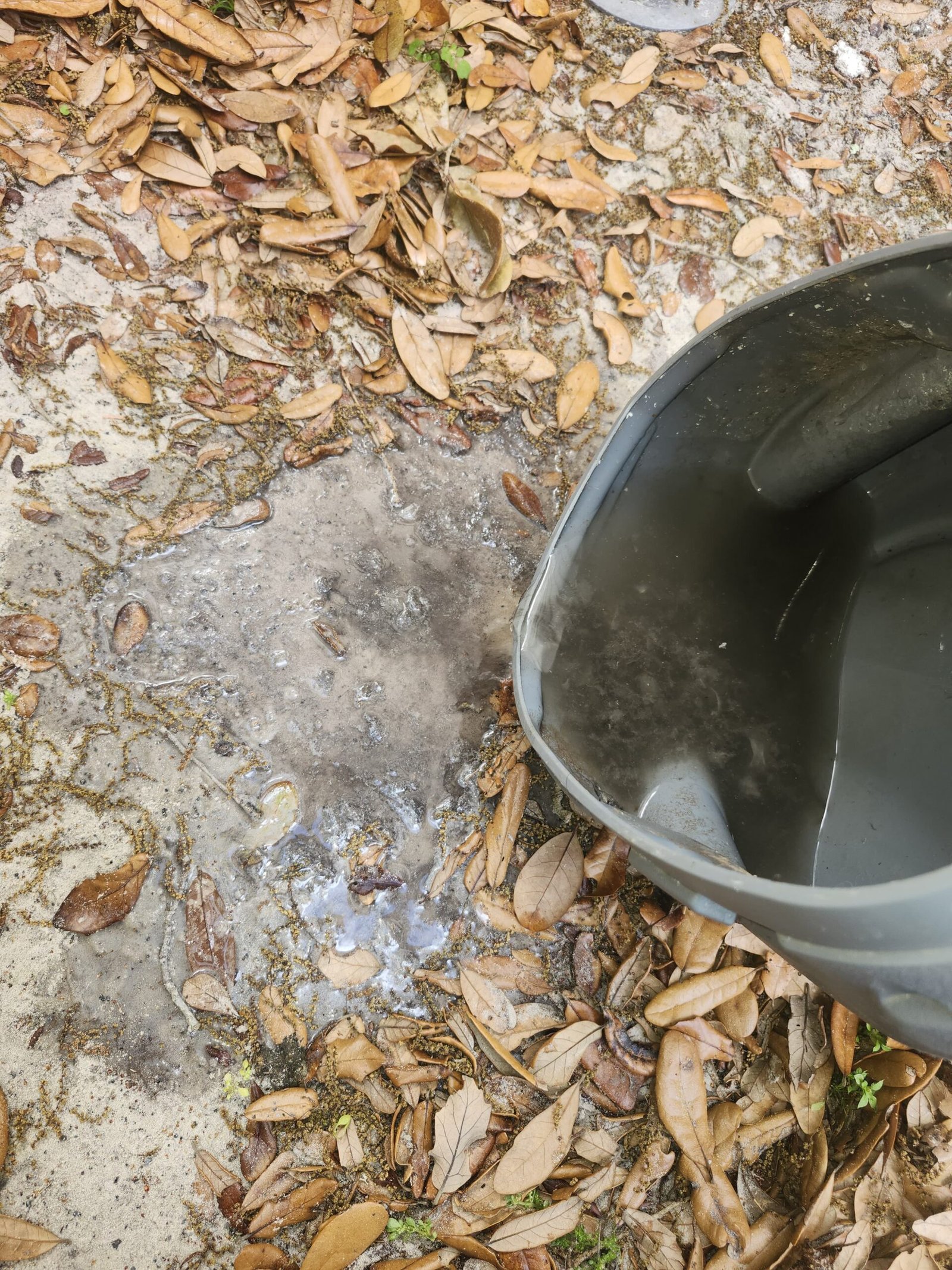 HVAC maintenance service Palm Harbor, FL 34683