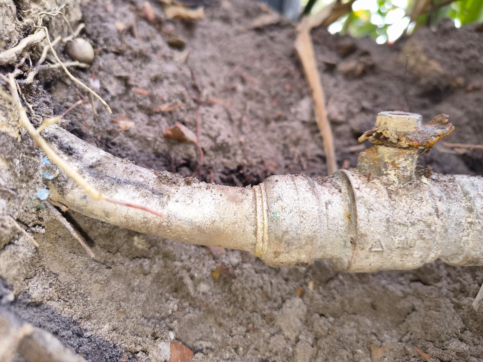 Water shutoff valve replacement in Palm Harbor, FL 34683