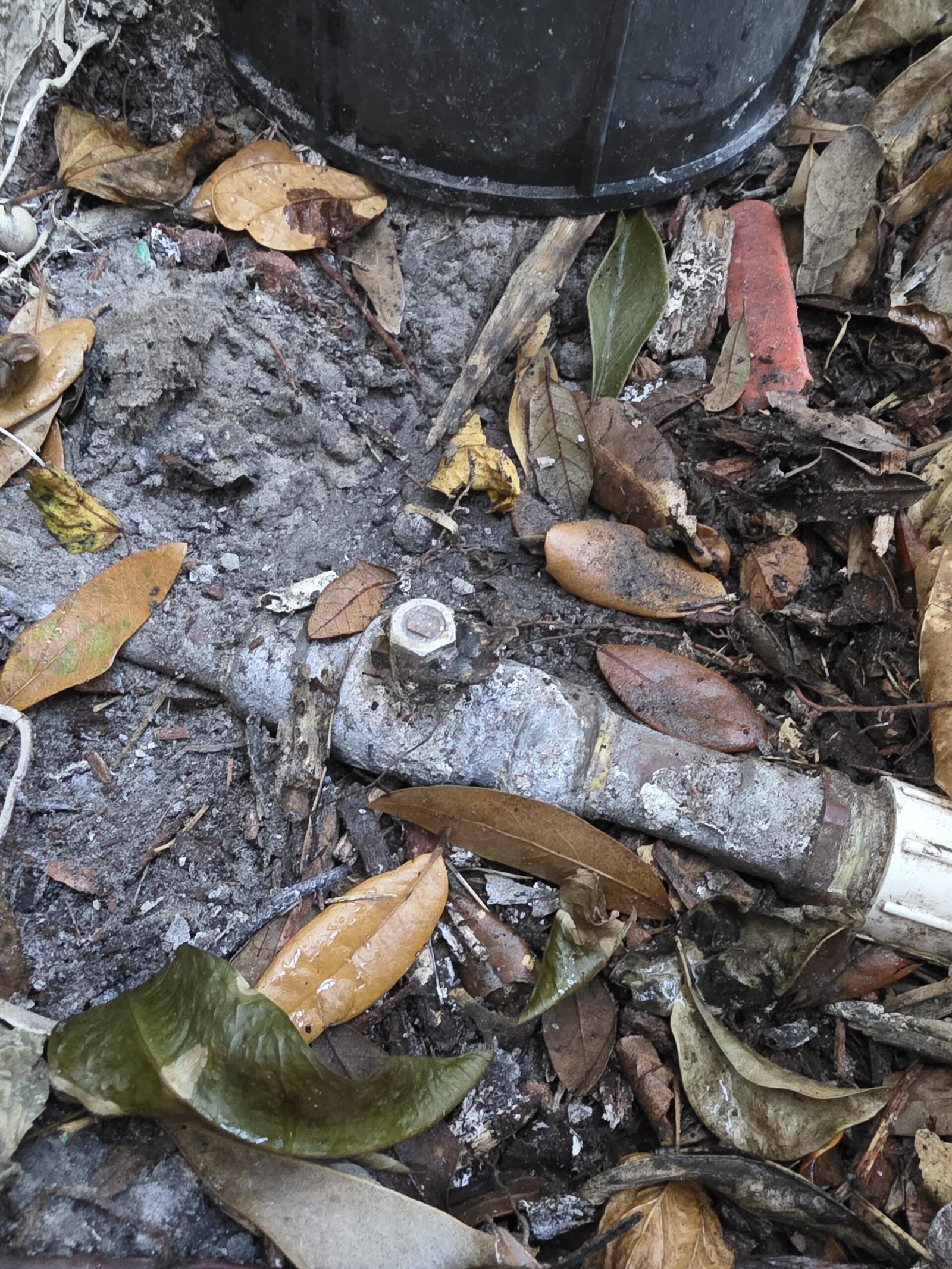 Shutoff valve plumbing repair in Palm Harbor, FL 34683