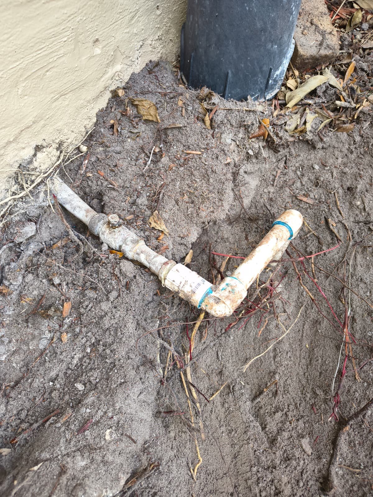 Main shutoff valve replacement in Palm Harbor, FL 34683