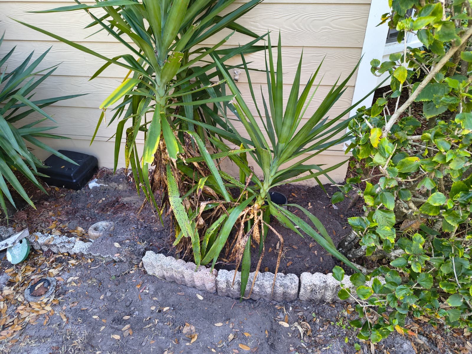 House shutoff valve replacement in Palm Harbor, FL 34683