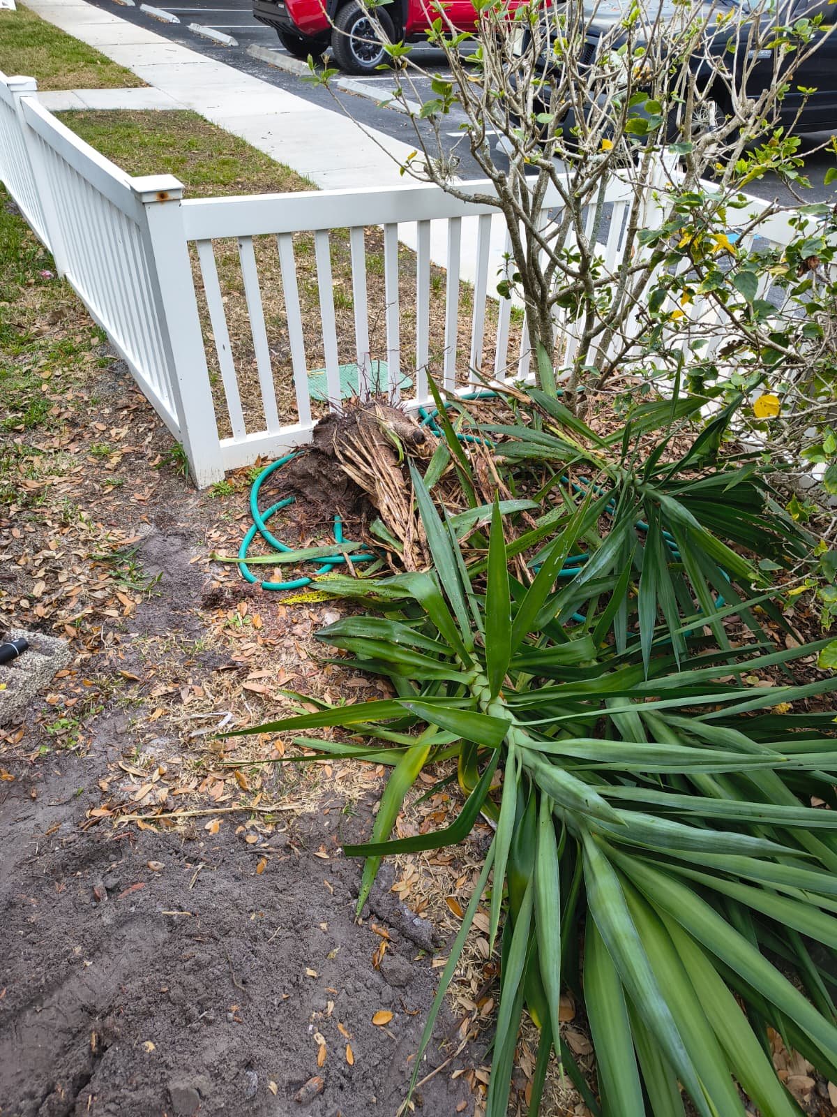 Ball valve plumbing repair in Palm Harbor, FL 34683