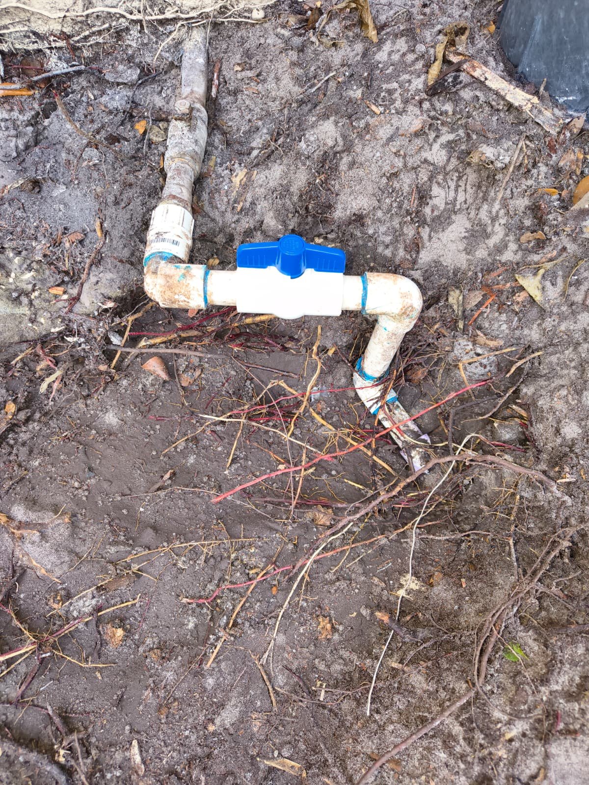 Shutoff valve repair in Palm Harbor, FL 34683