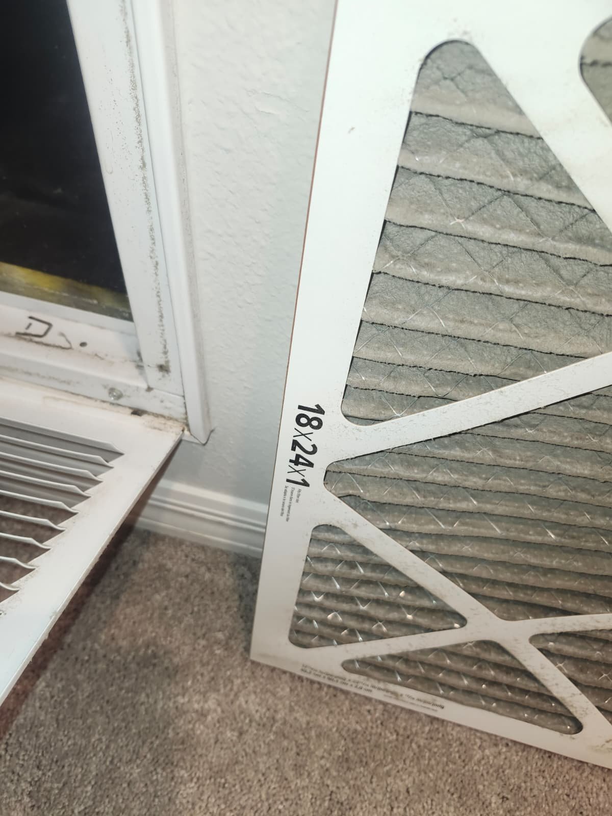 HVAC maintenance service Tampa, FL 33619