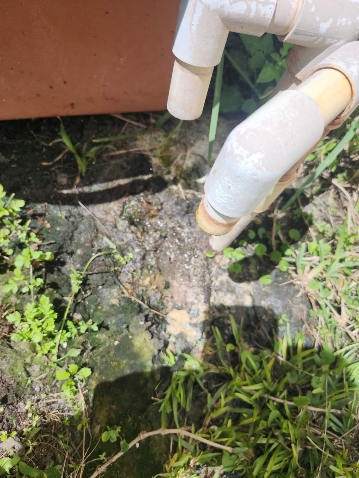 Elite HVAC maintenance plan service in Tampa, FL 33647