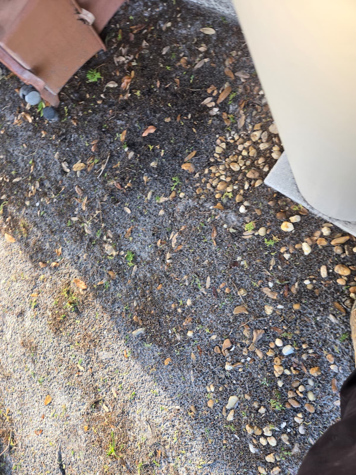 Sediment flush for water heater in Safety Harbor, FL 34695