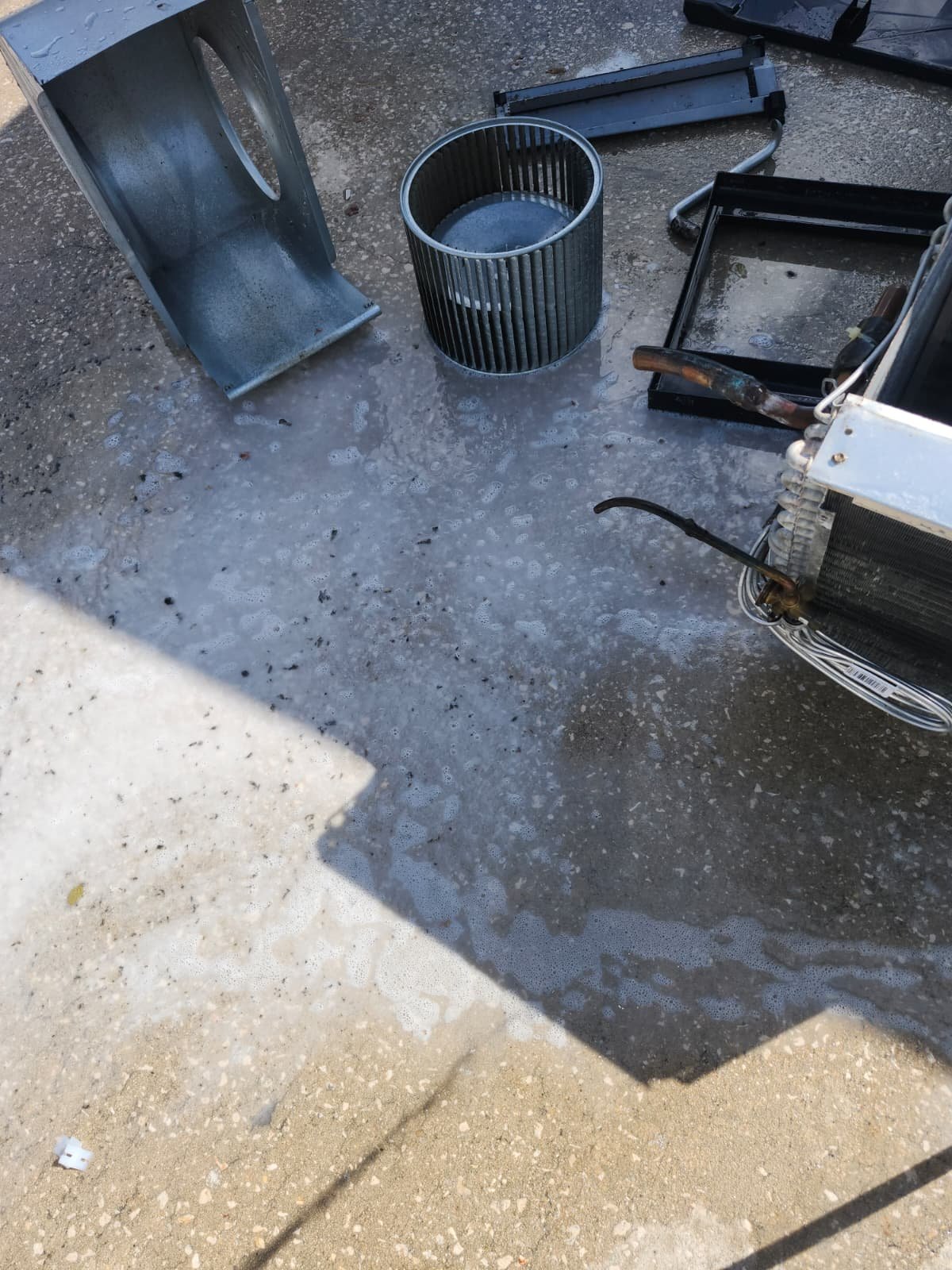 professional disconnect switch replacement in Tampa, FL 33605