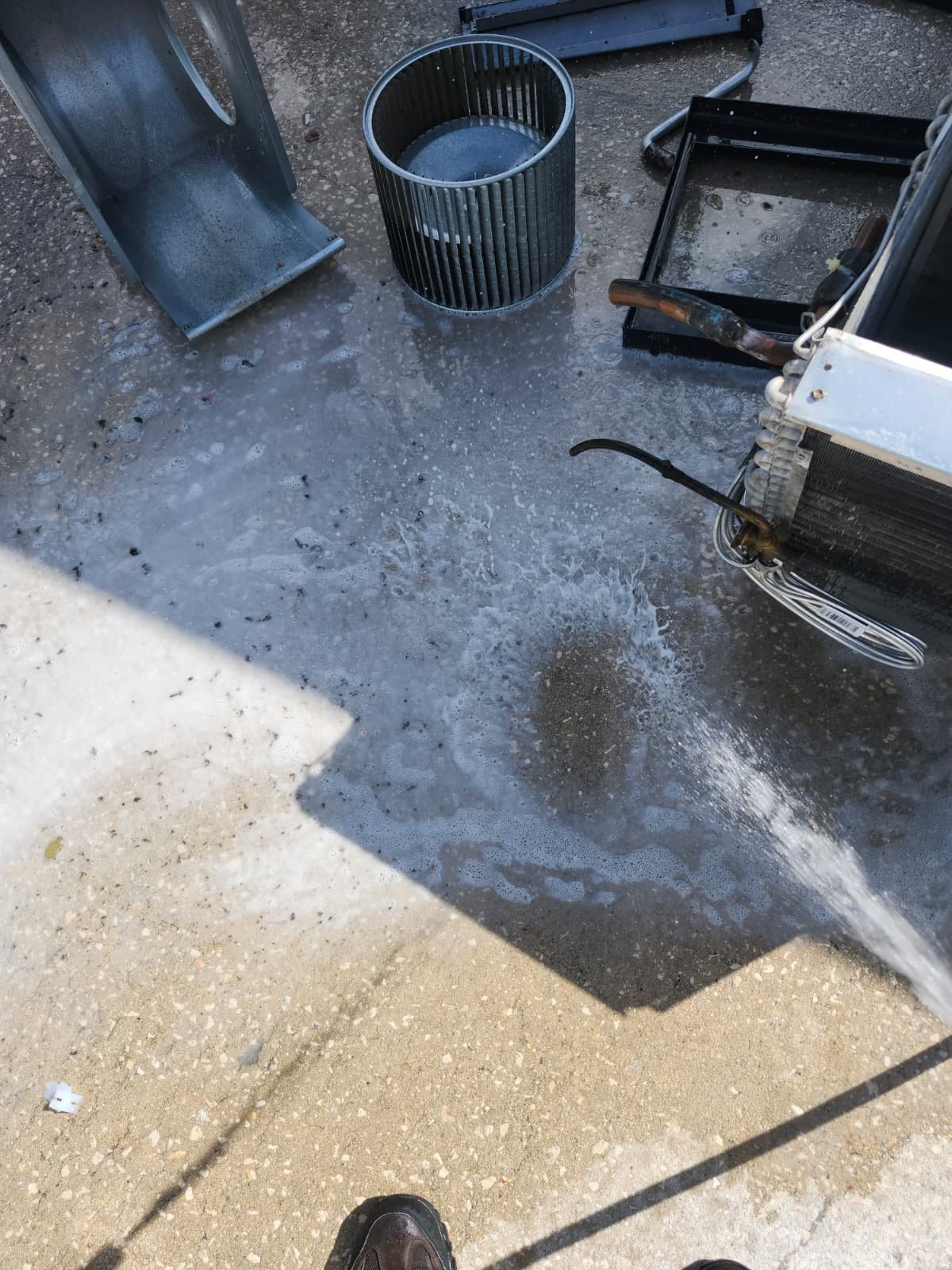 Maintenance visit in Tampa, FL 33605