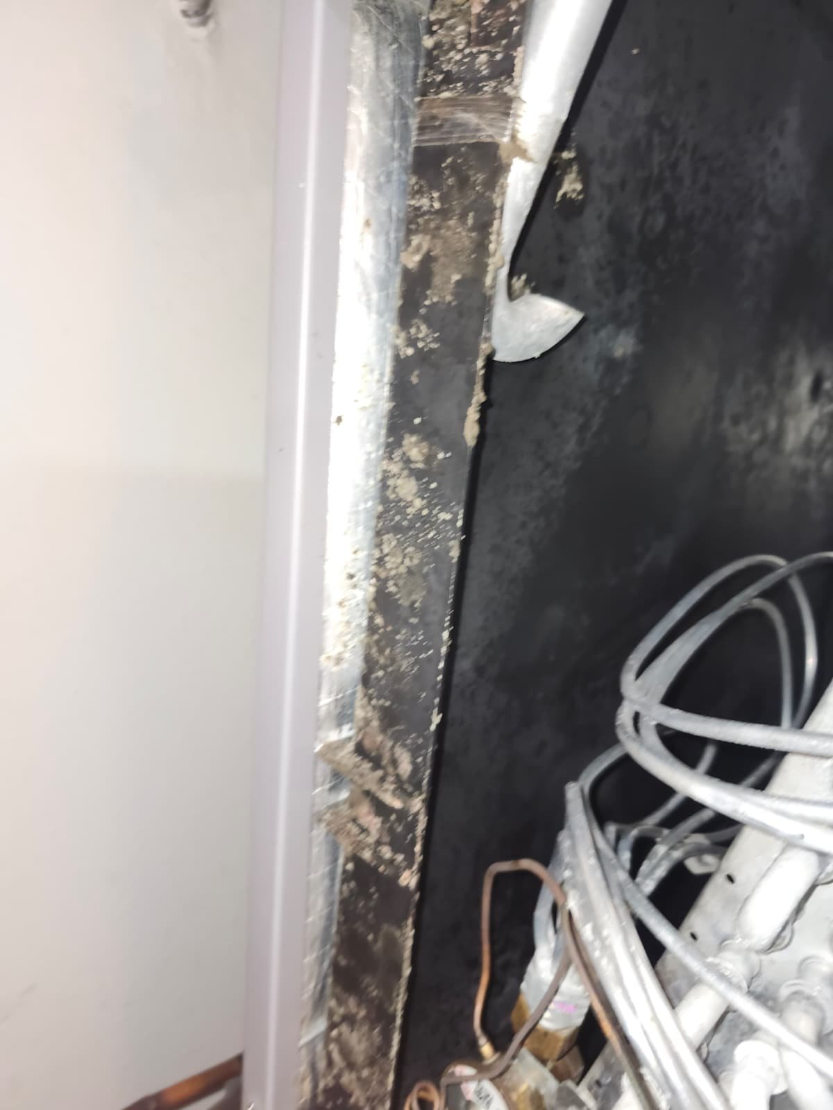 UV germicidal light option in Zephyrhills, FL 33541