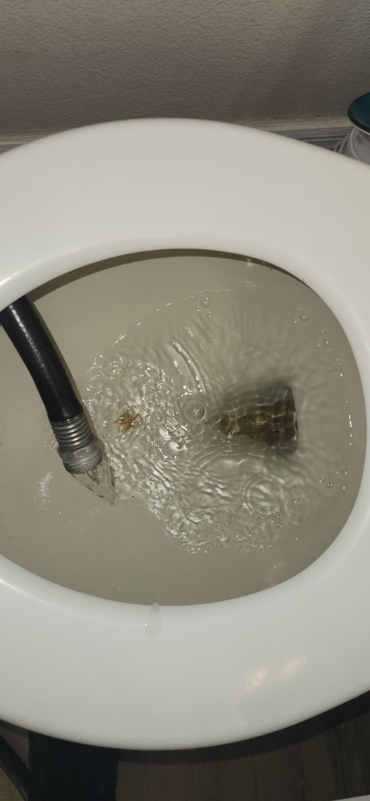 Water heater flush in Tampa, FL 33619