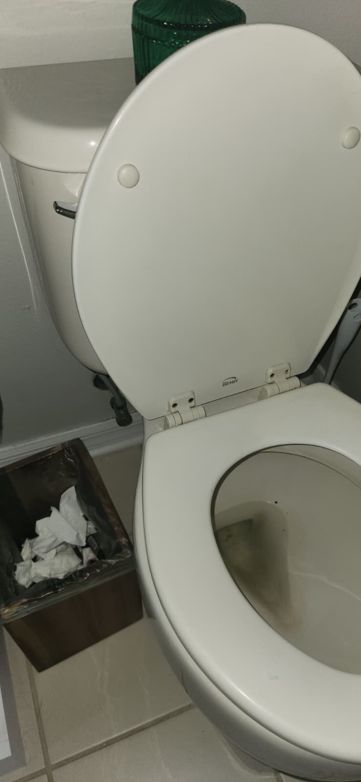 Plumbing system check in Tampa, FL 33619