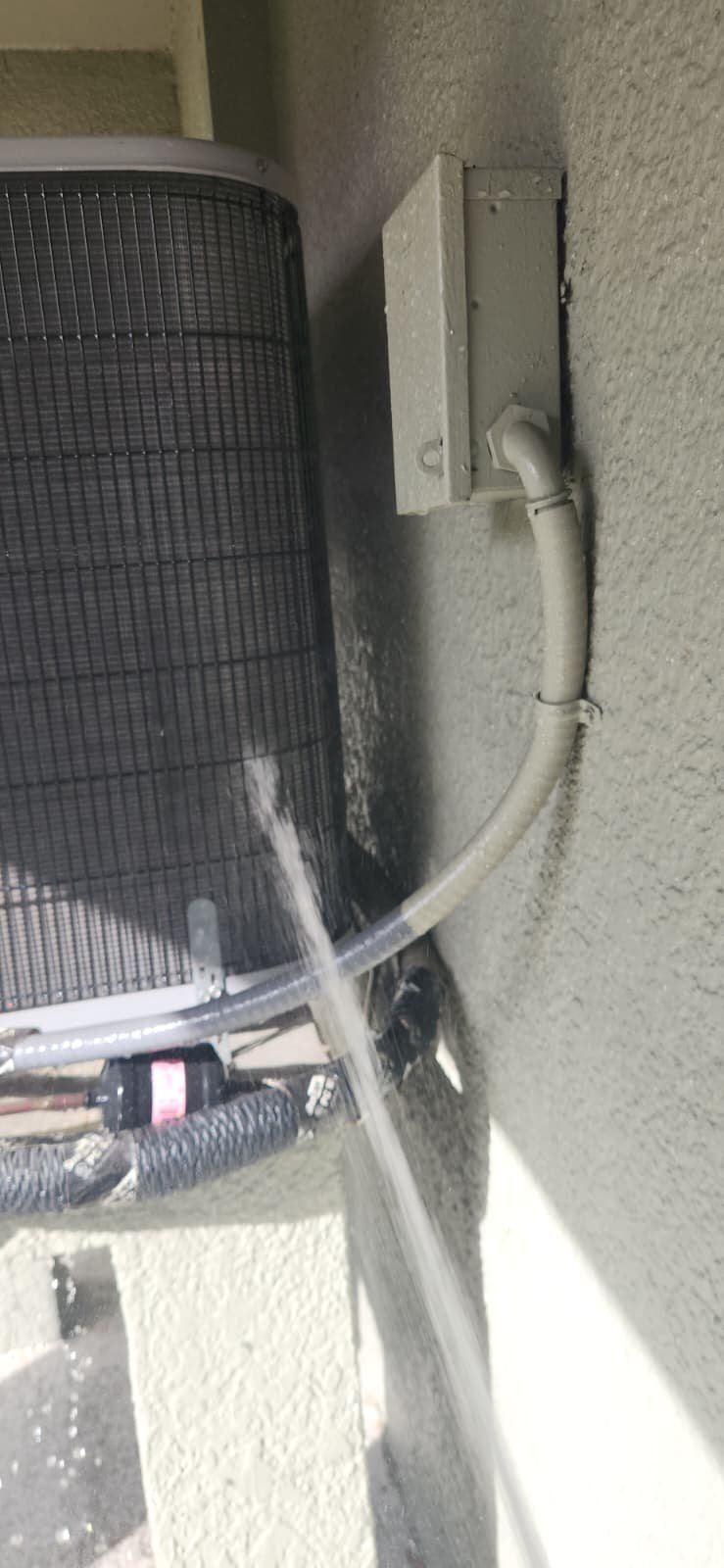 Routine home maintenance in Tampa, FL 33619