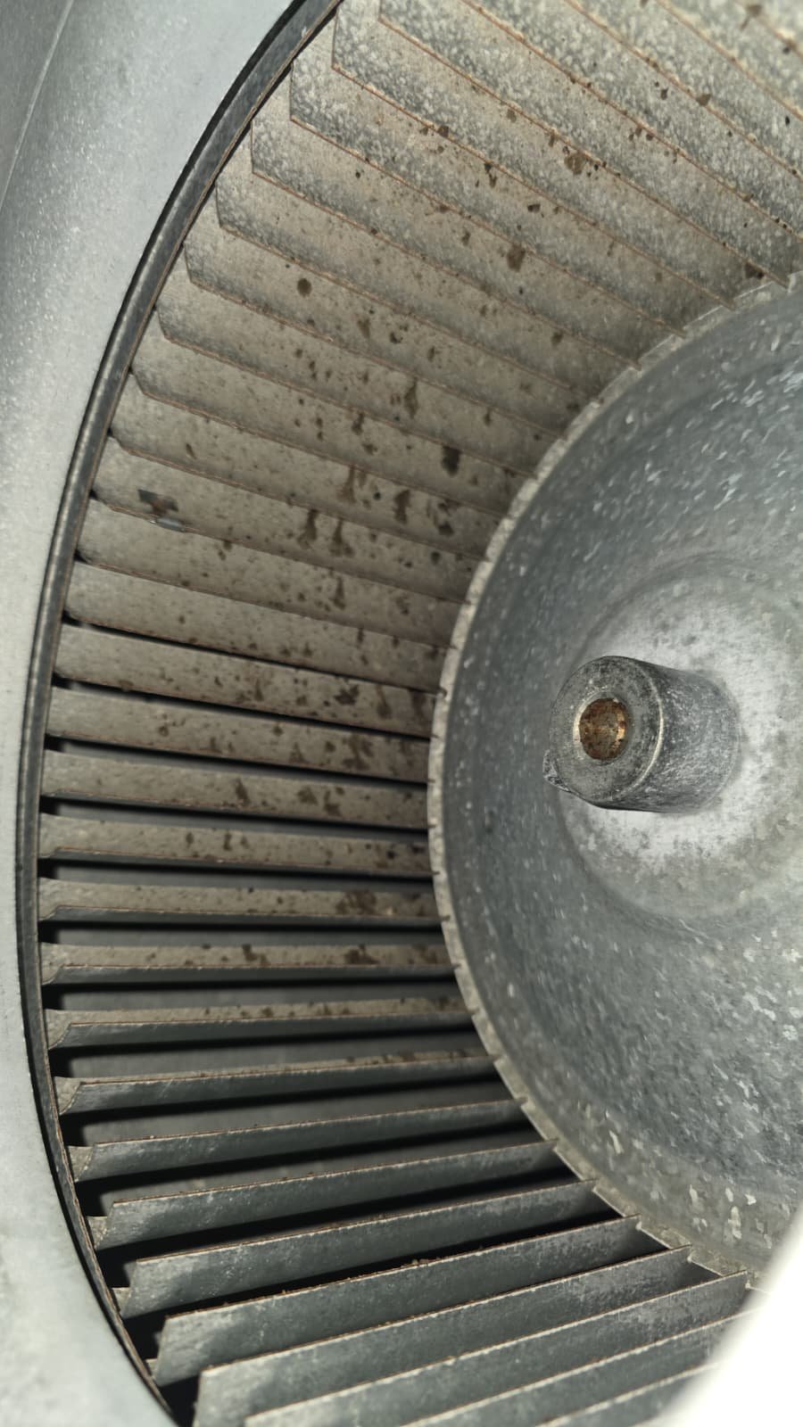 HVAC maintenance service Lutz, FL 33558