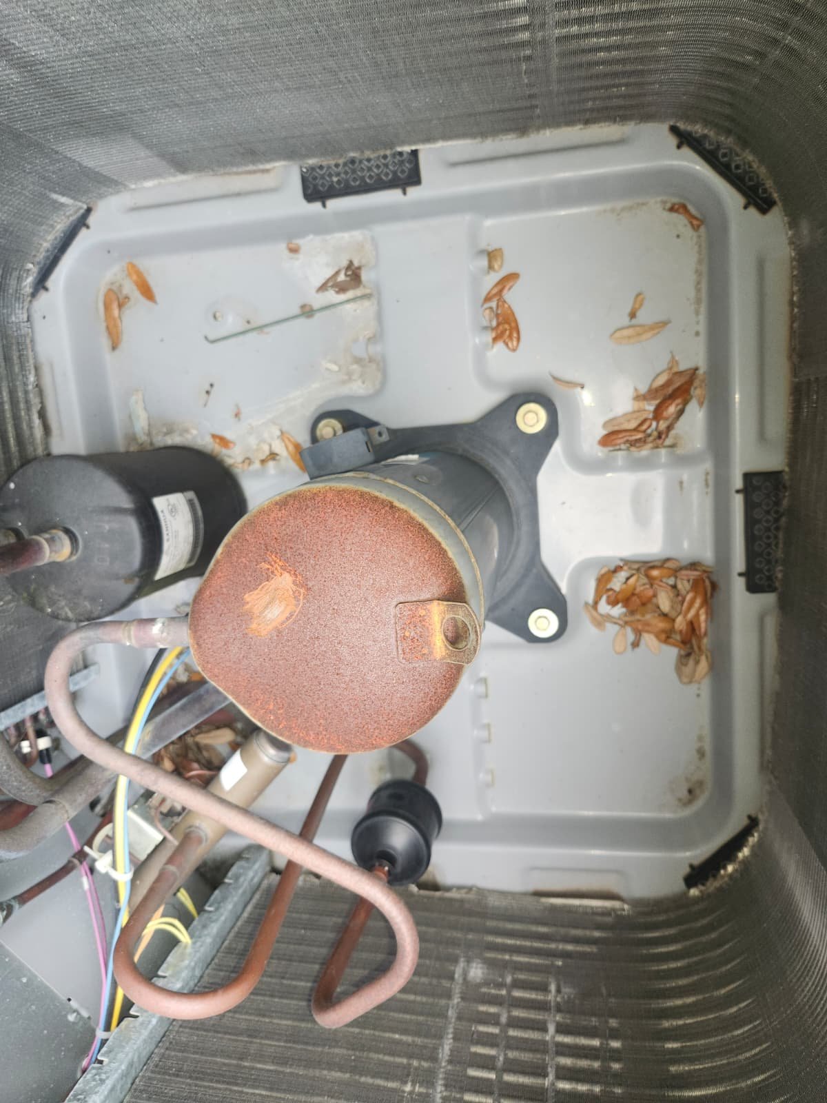 Residential AC repair service in Seminole, FL 33776