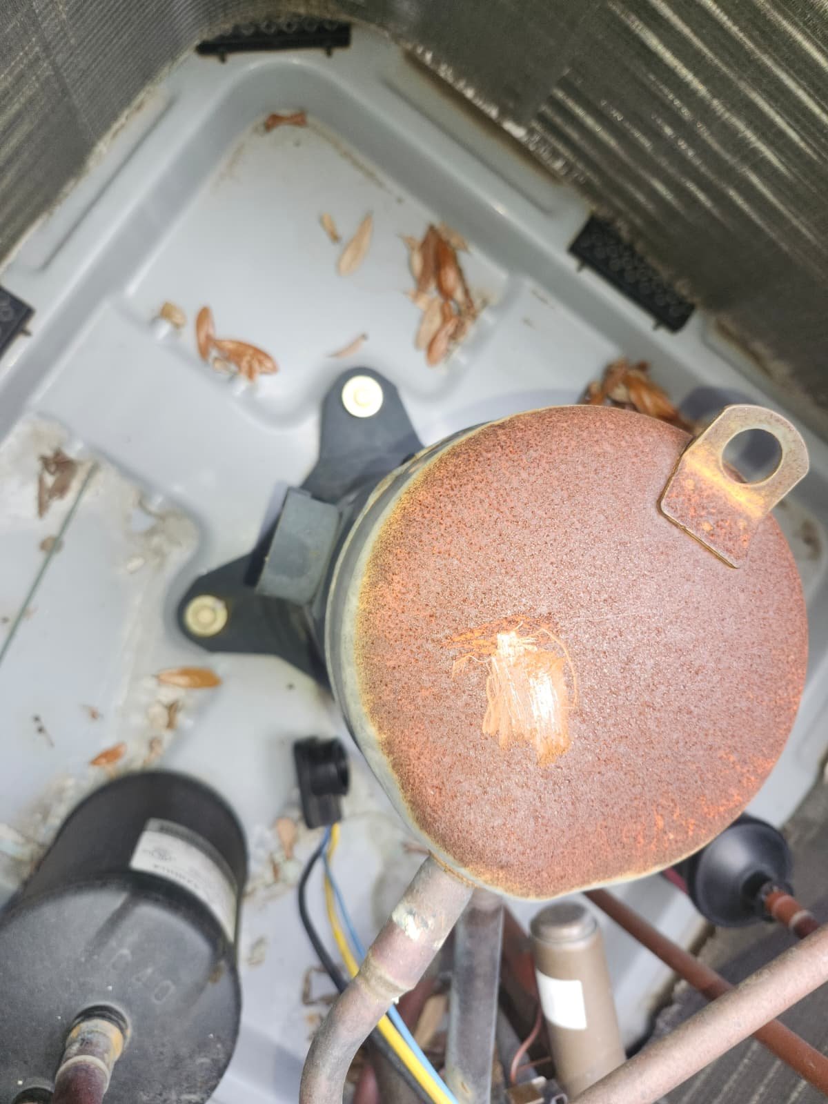 AC replacement consultation in Seminole, FL 33776