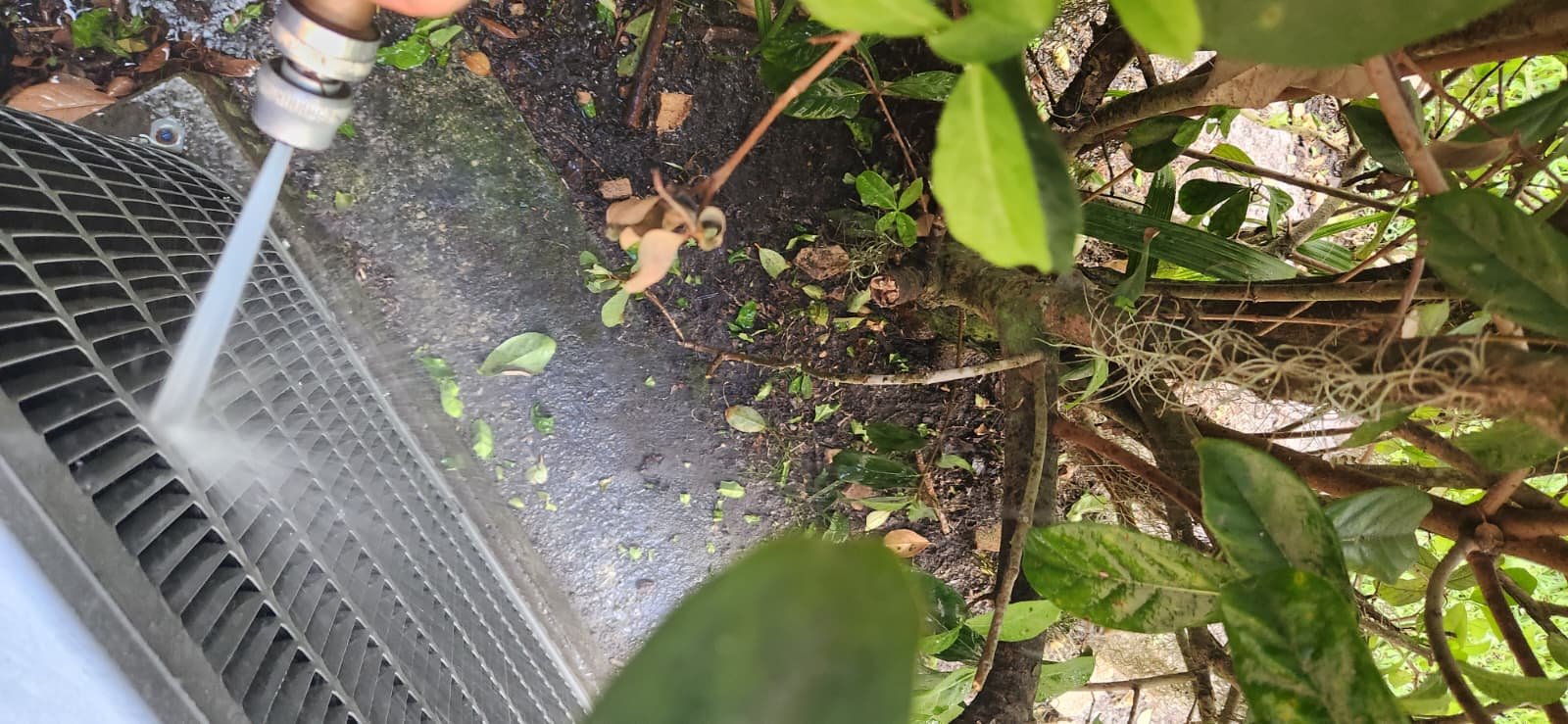 AC maintenance service in Tampa, FL 33647