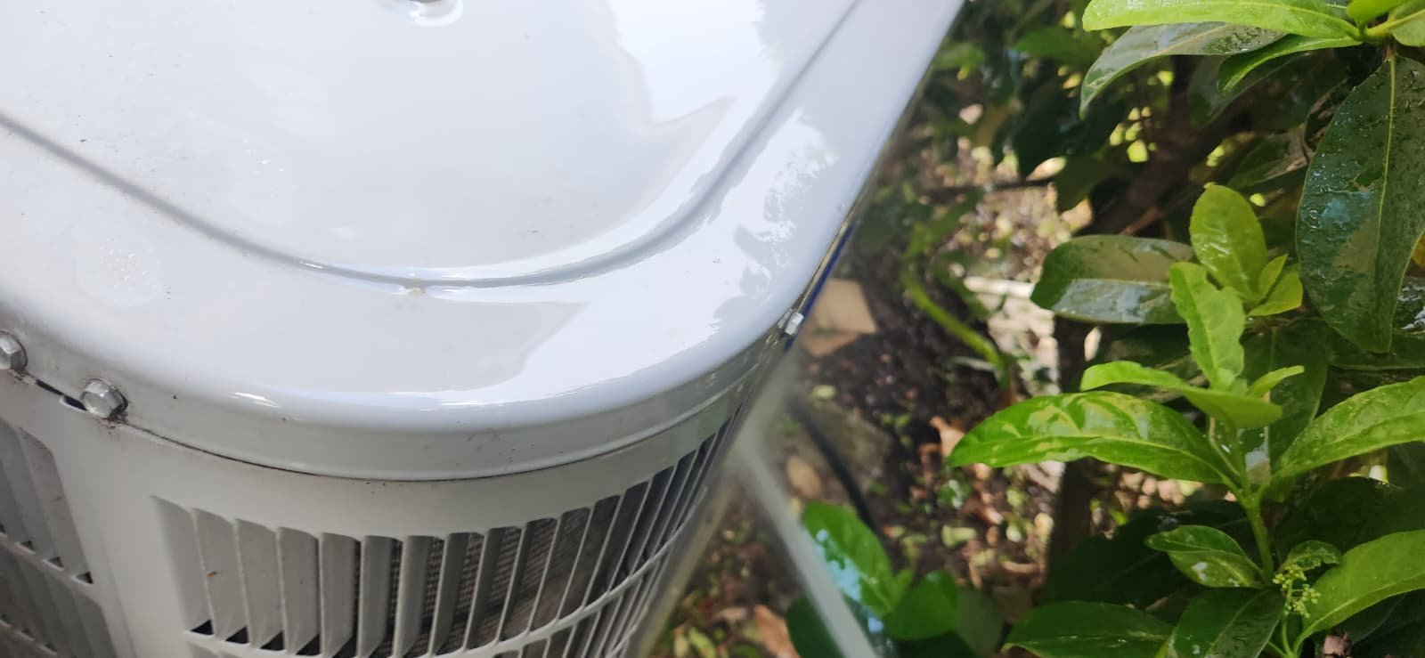 Drain line service during AC maintenance in Tampa, FL 33647