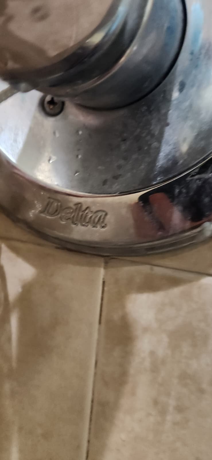 Plumbing inspection in Tampa, FL 33647