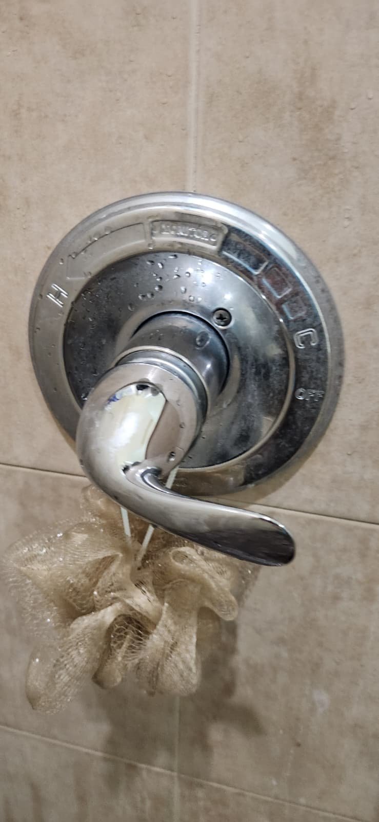 Water softener replacement service in Tampa, FL 33647