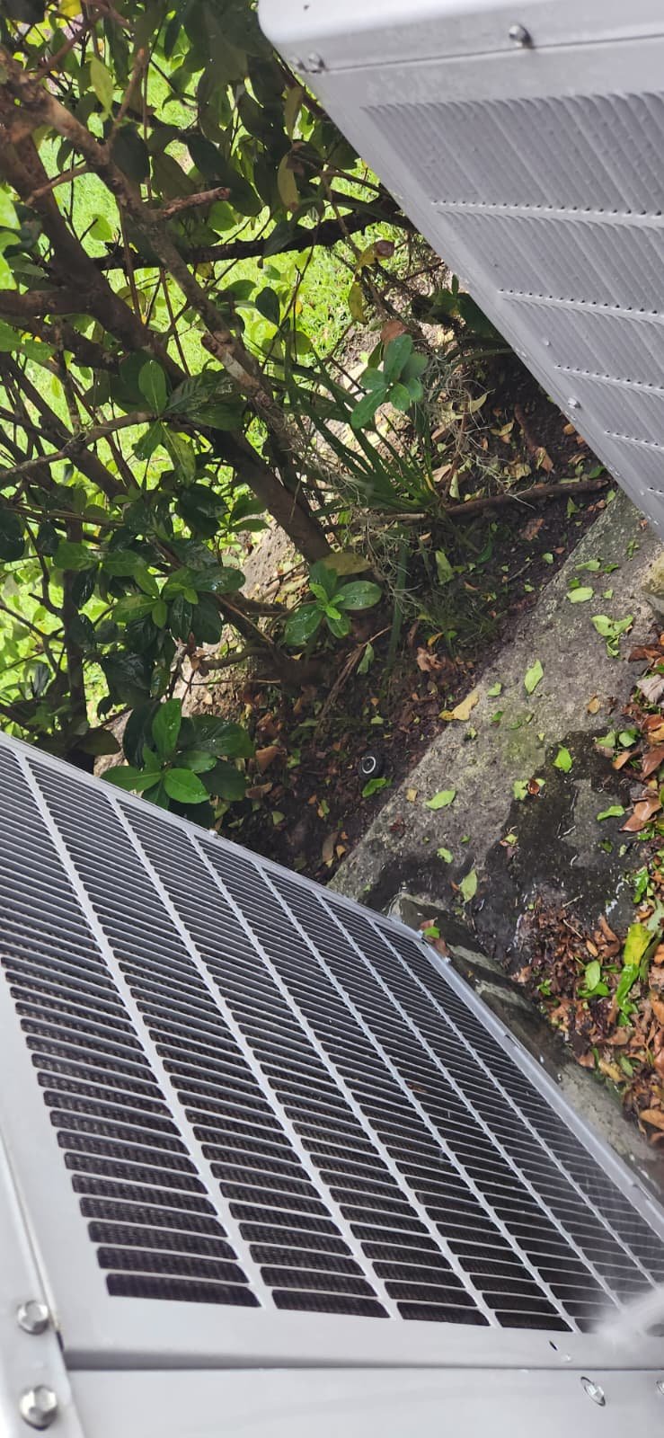 Residential AC service in Tampa, FL 33647