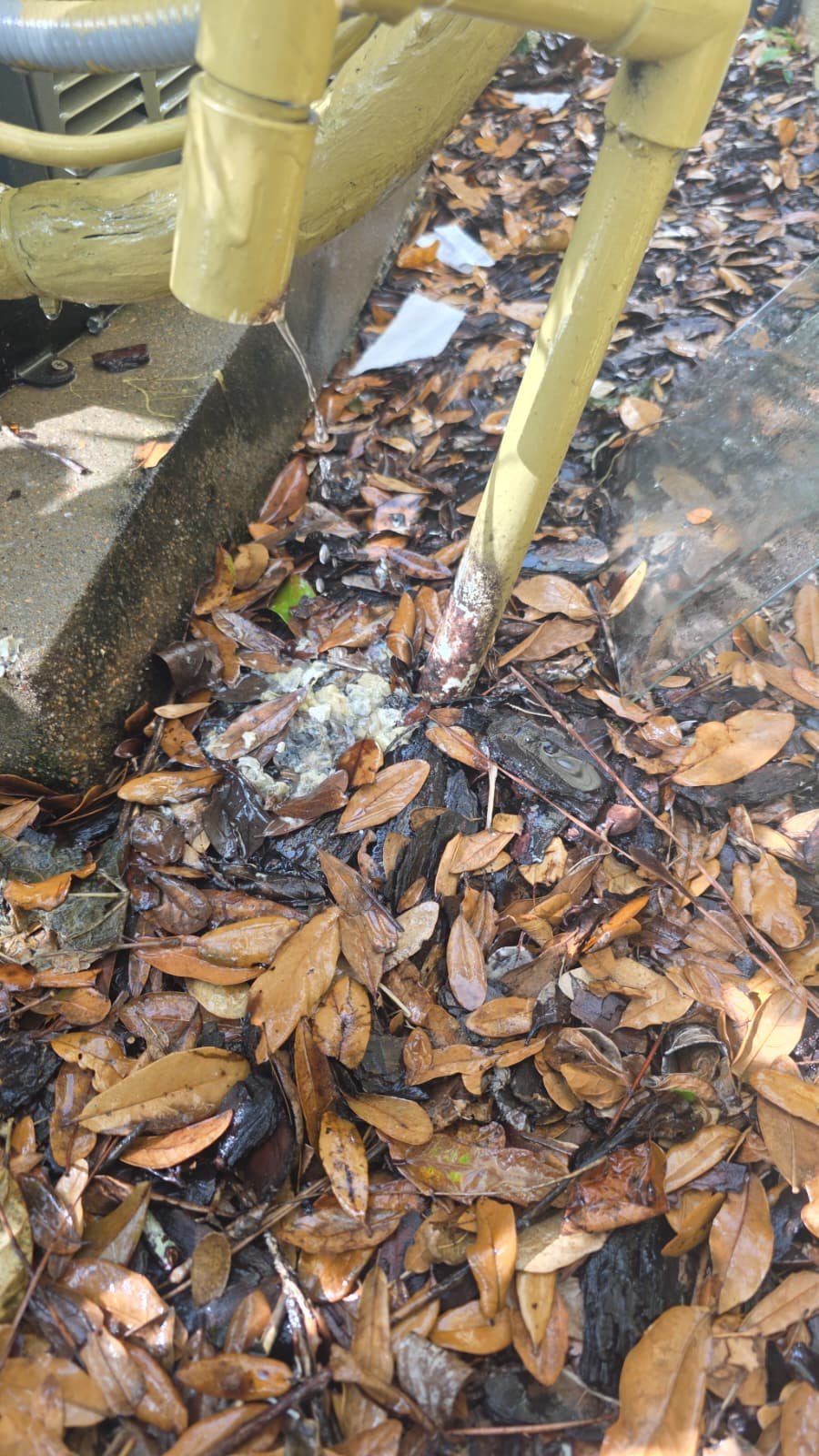 Duct leak inspection Tampa, FL 33625