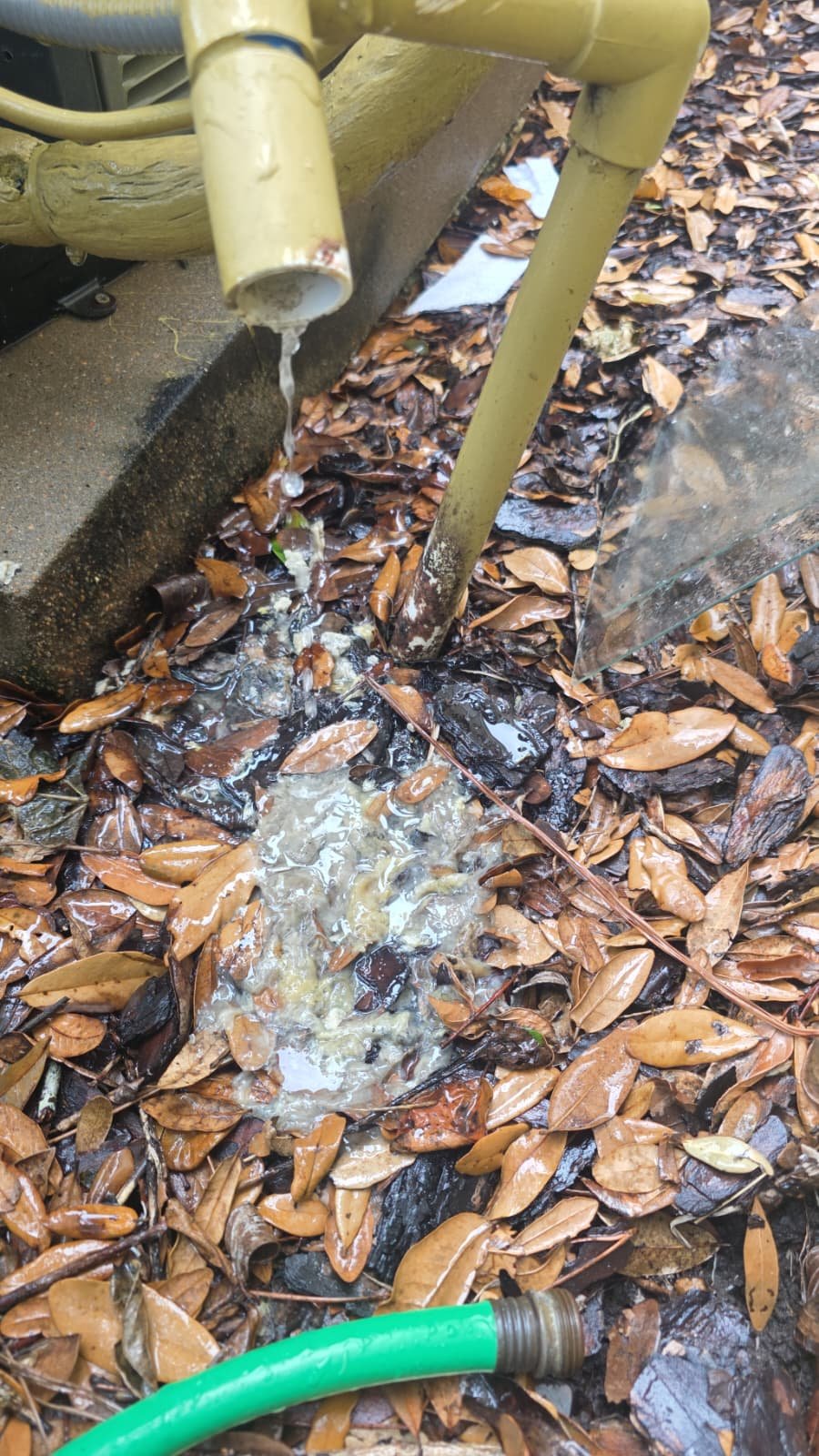 AC diagnostic visit Tampa, FL 33625