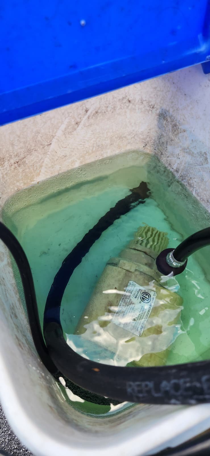 Tankless water heater flush St. Petersburg, FL 33710