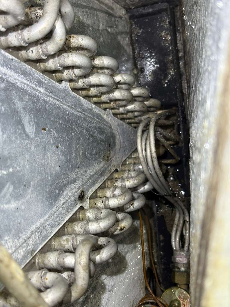 AC system maintenance Seffner, FL 33584