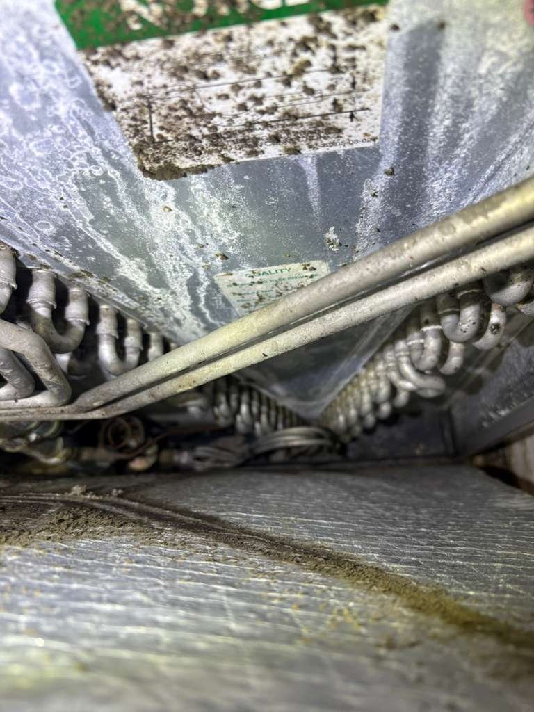 HVAC maintenance service Seffner, FL 33584