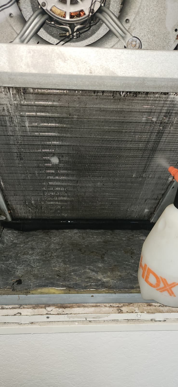 Blower wheel inspection during HVAC maintenance Tampa, FL 33647