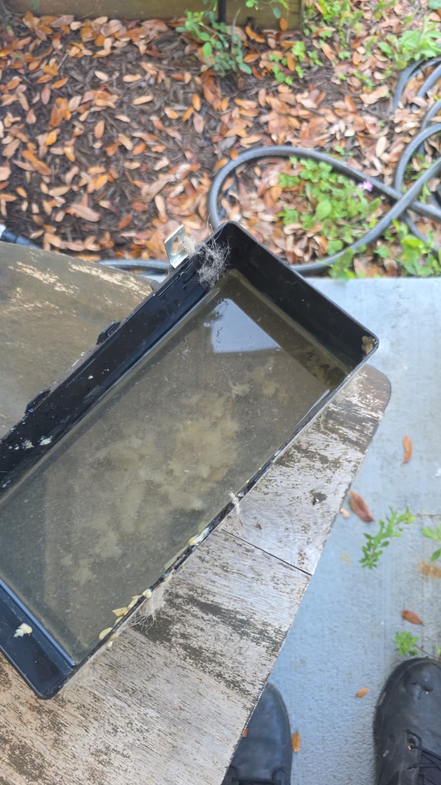HVAC maintenance and UV light service in Tampa, FL 33611