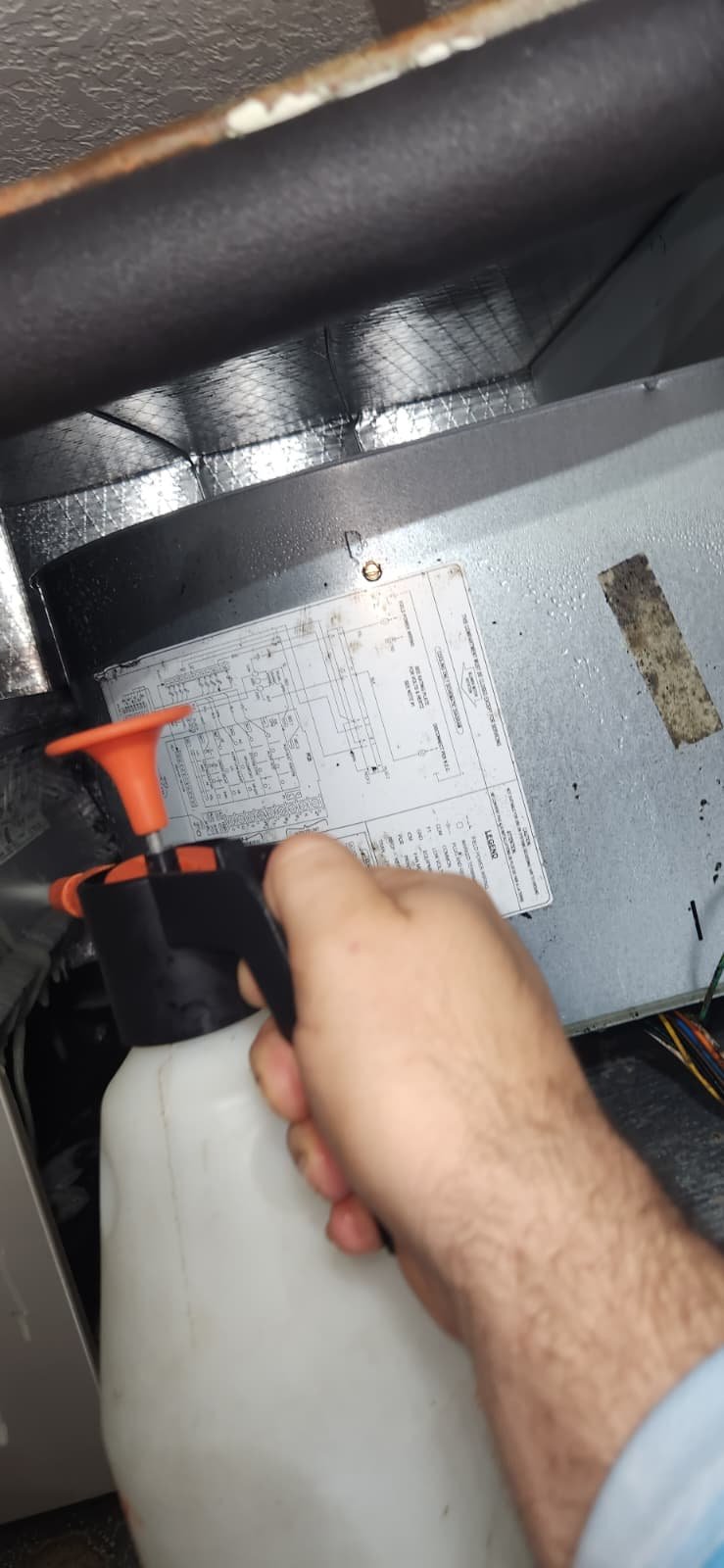 Water Heater Element Swap During a Maintenance Visit on Coral Key Ave, Tampa, FL 33647 | Home Therapist Tampa Bay