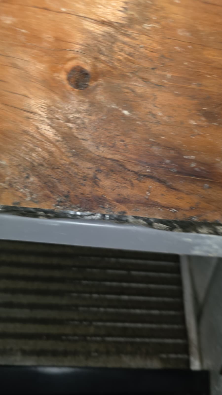 Preventive HVAC service Tampa, FL 33624