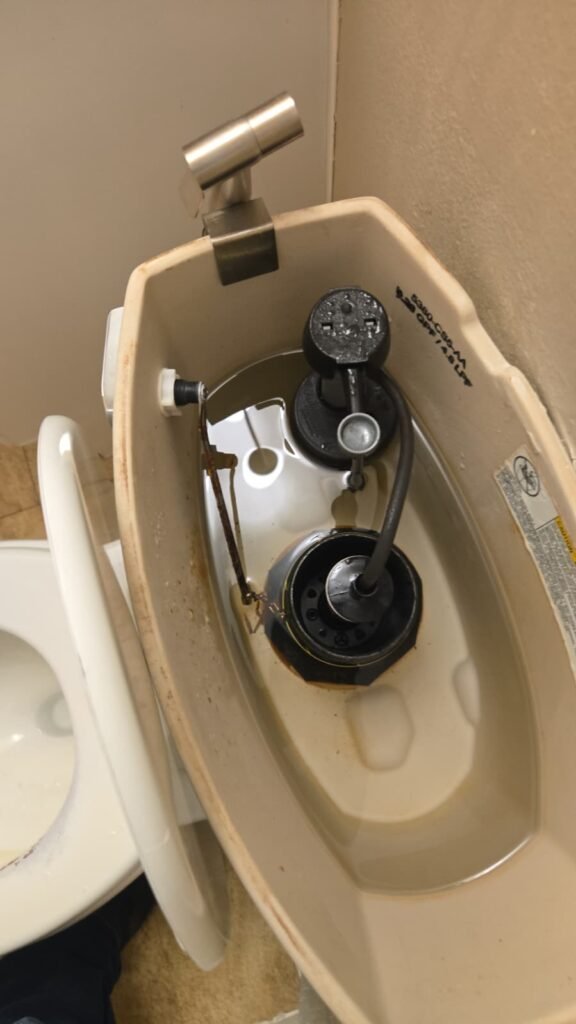 A fill valve and flapper inside a toilet tank during a repair in Tampa, FL 33624.