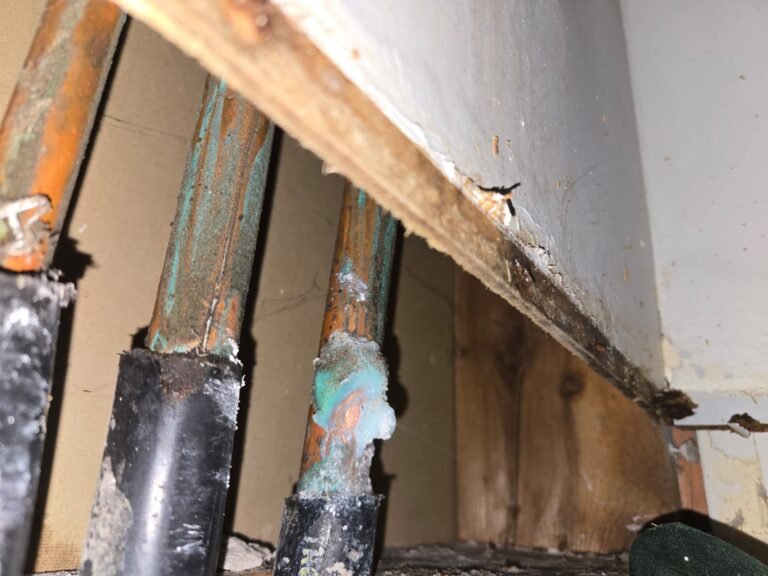 Corroded copper water pipes found in a Tampa, FL home