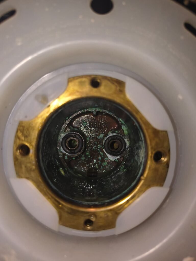 A corroded shower cartridge inside the valve body in Tampa, FL 33602.
