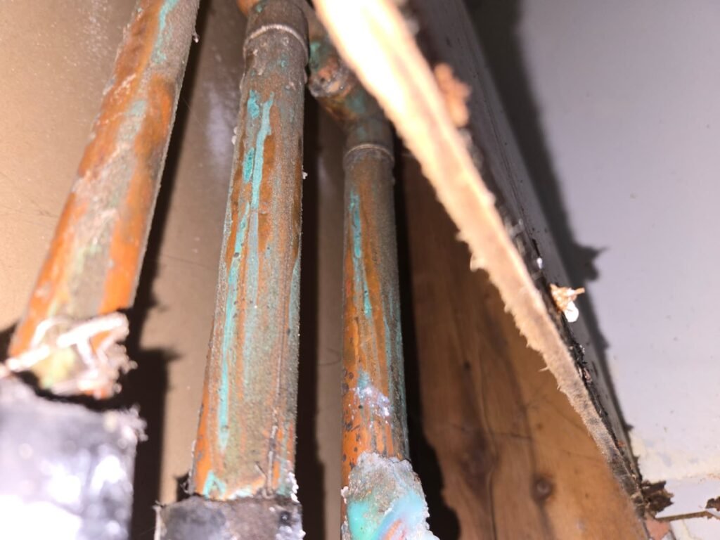 Corroded copper supply pipes with green buildup in a Tampa, FL home.