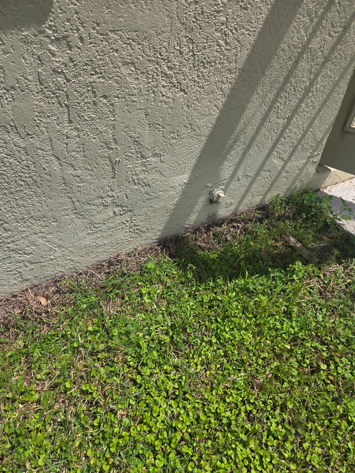 Close-up of exterior wall with drain pipe for sewer unclogging in Tampa, FL 18318.