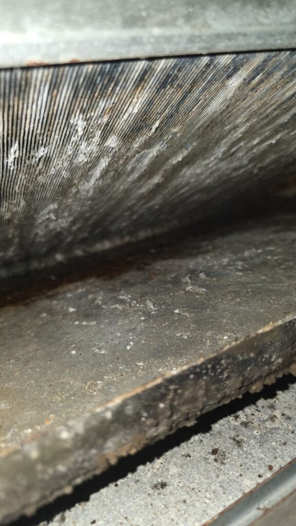 Dust and grime on an indoor coil during a heating maintenance visit in Tampa, FL 33604.