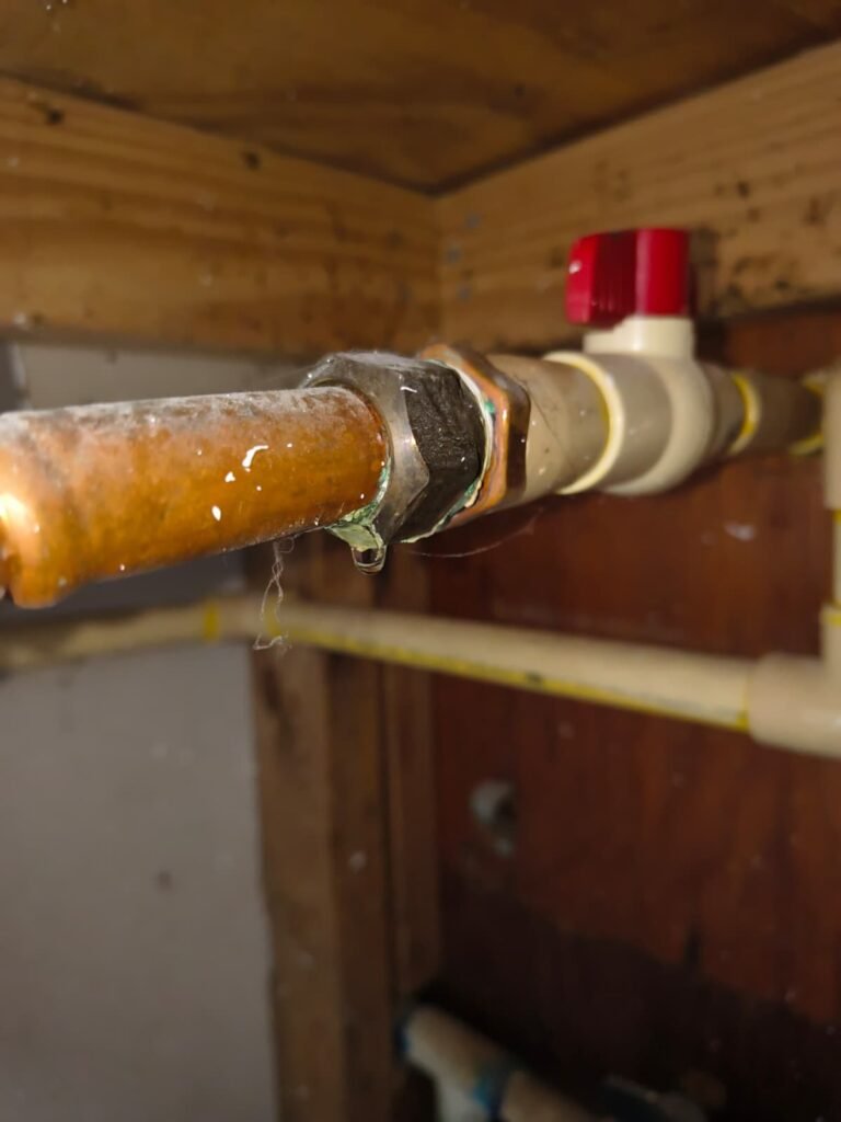 A leaking copper pipe joint next to a valve in Tampa, FL 33624.