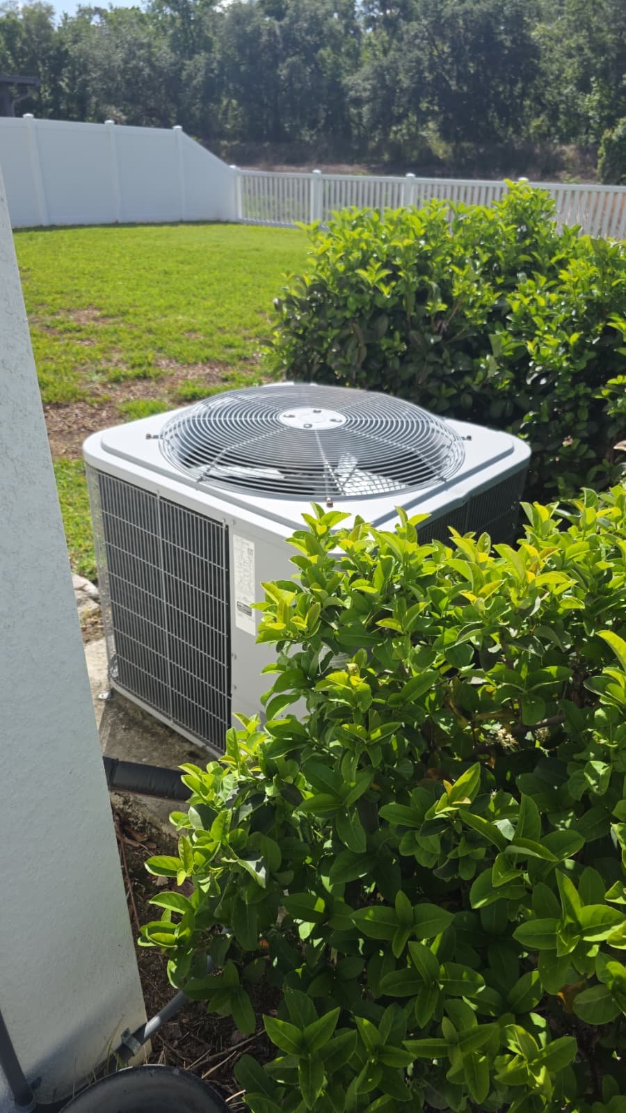 Outdoor AC unit installation with greenery at 39926 Harmon Grove Ct, Zephyrhills, FL 33542.
