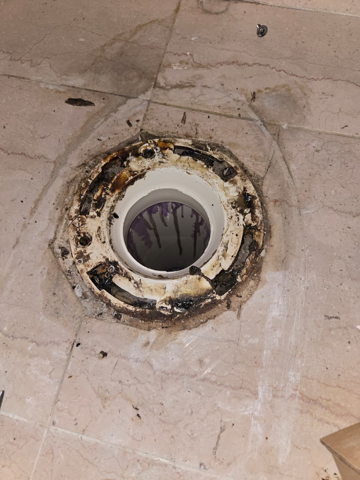 In-progress toilet flange replacement during toilet installation in Oldsmar, FL 34677.