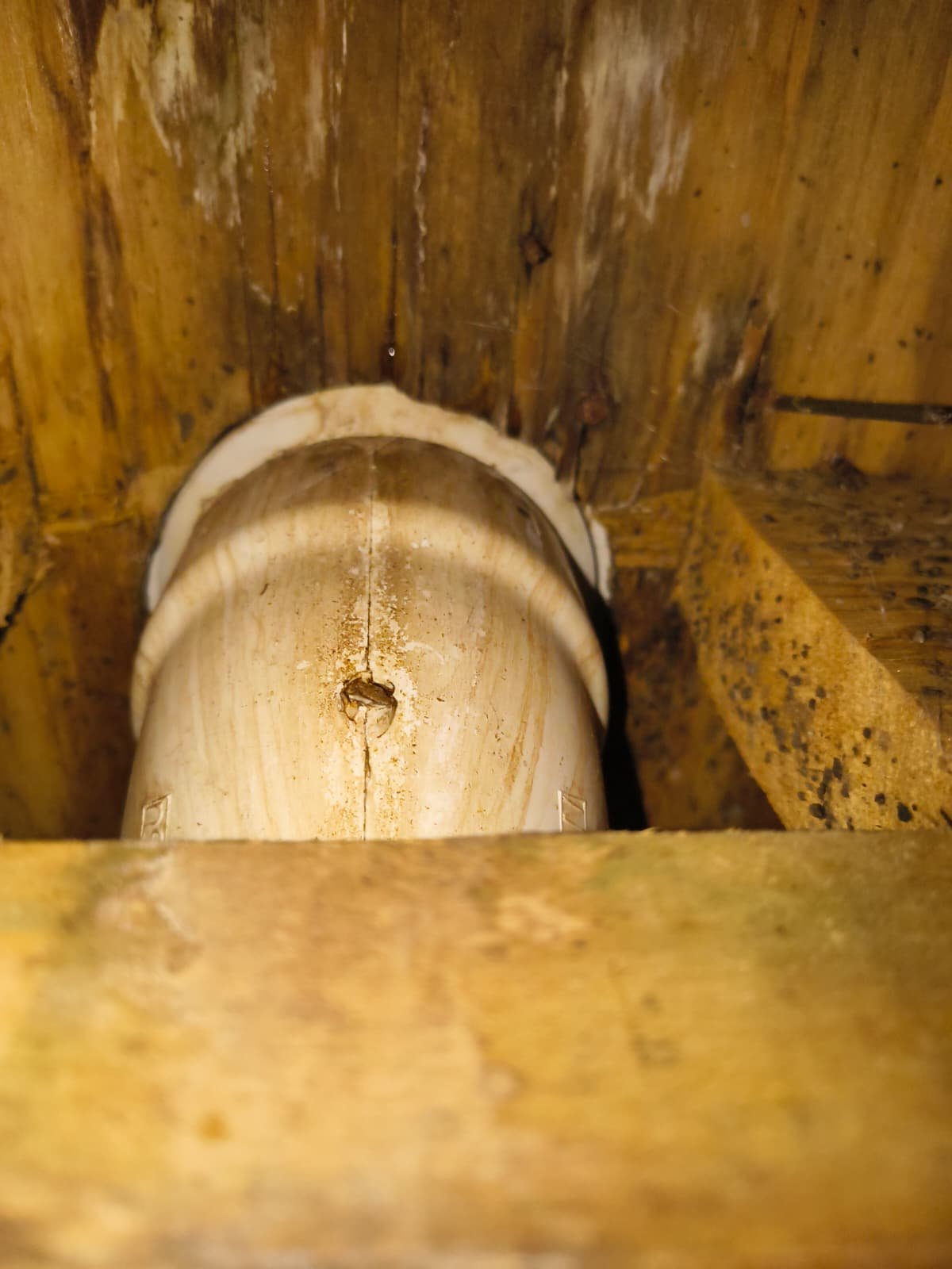 Close-up of toilet resetting with visible water damage in Tampa, FL 4620.