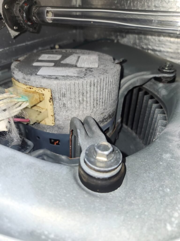 Blower motor with visible wiring inside HVAC system in Tampa, FL 33624.