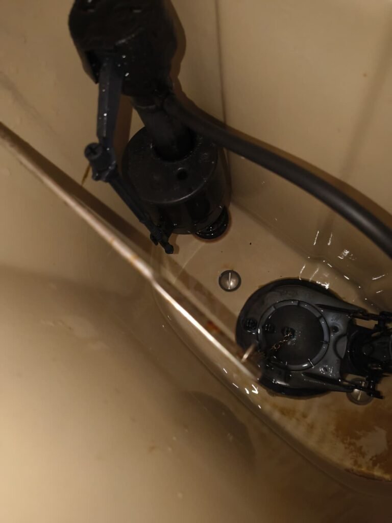 In-progress view of toilet tank fill valve components in Seffner, FL 33584. Professional installation.