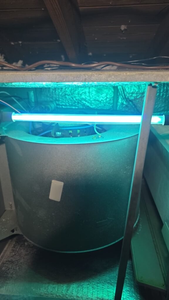 A UV light mounted above the blower inside an air handler in Tampa, FL 33624.