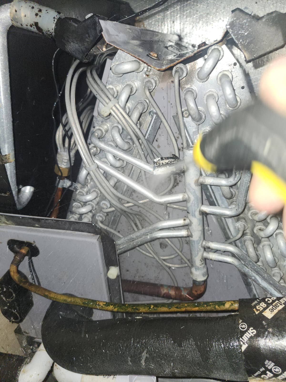 AC Unit Internal Cleaning - Tampa, FL 33604 Close-up of AC unit internal components cleaned during Visit #3 in Tampa, FL 33604.