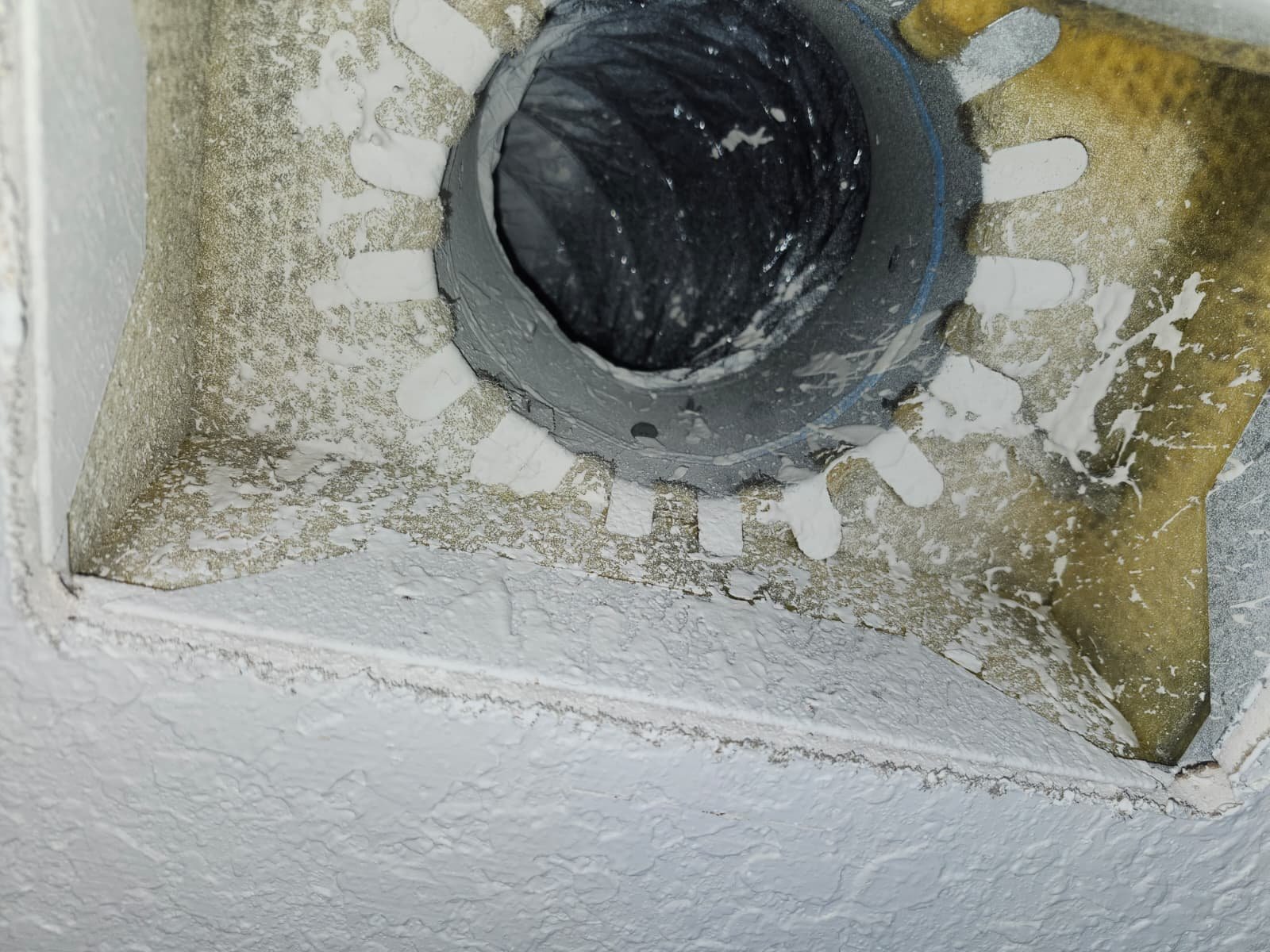 Close-up of air duct opening and surrounding area in Lutz, FL 33558.